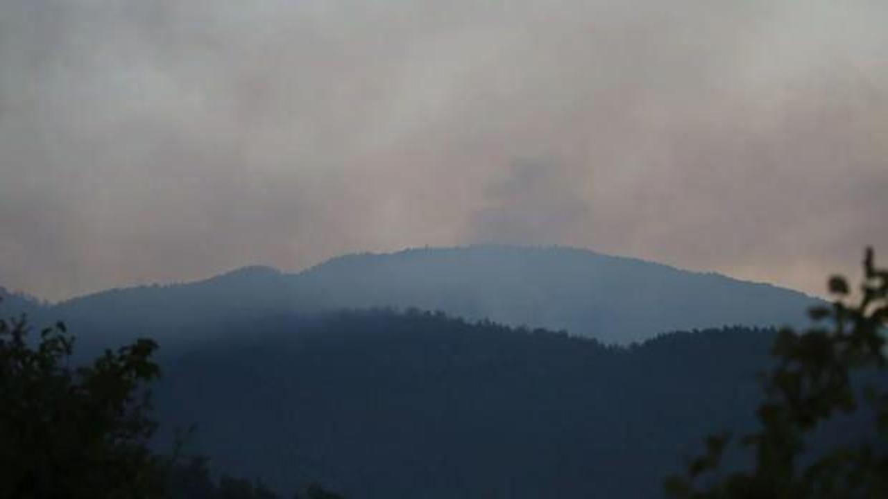 Mersin ve Hatay'daki ormanlar 3 gündür yanıyor