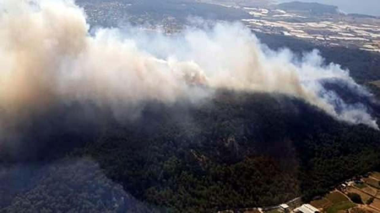 Mersin’de orman yangını! Havadan ve karadan müdahale ediliyor