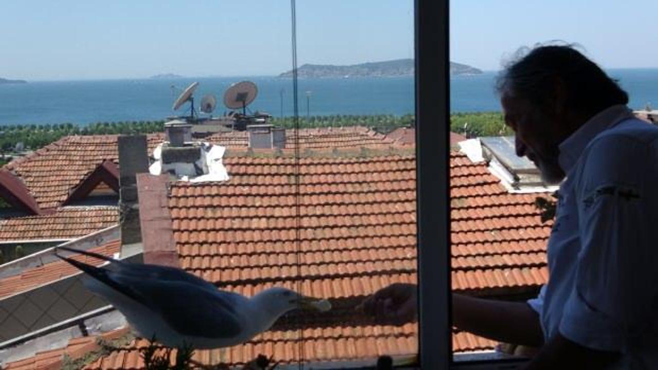 Martı Nefes ile Ali Teksoy’un hayrete düşüren dostluğu