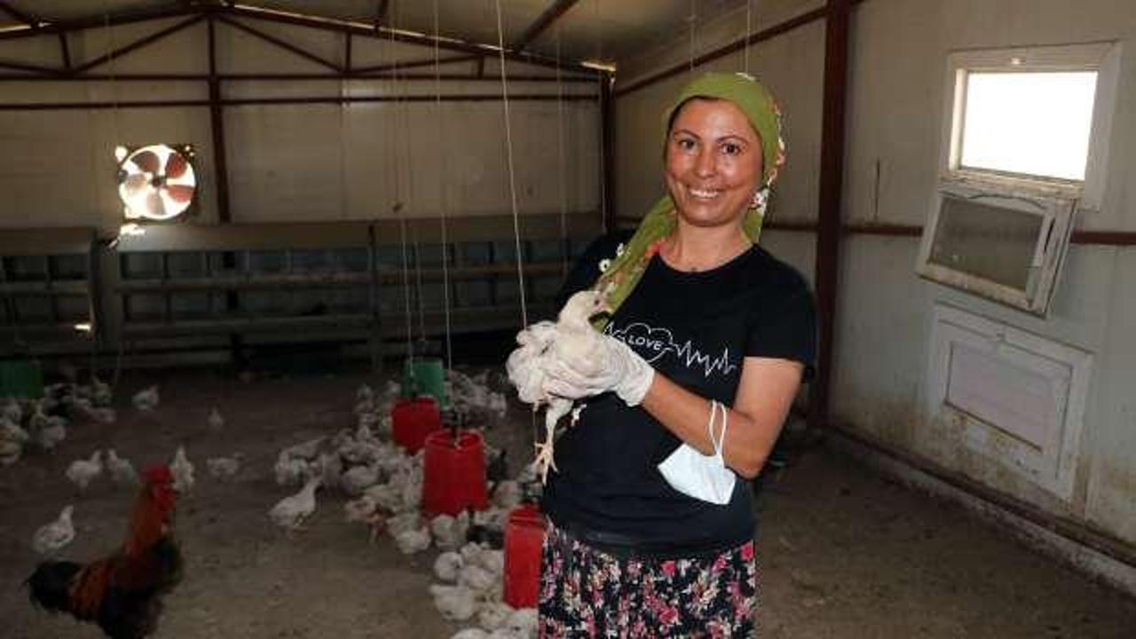 Adana’da ölüme terk edilen civcivler yeni yuvasında