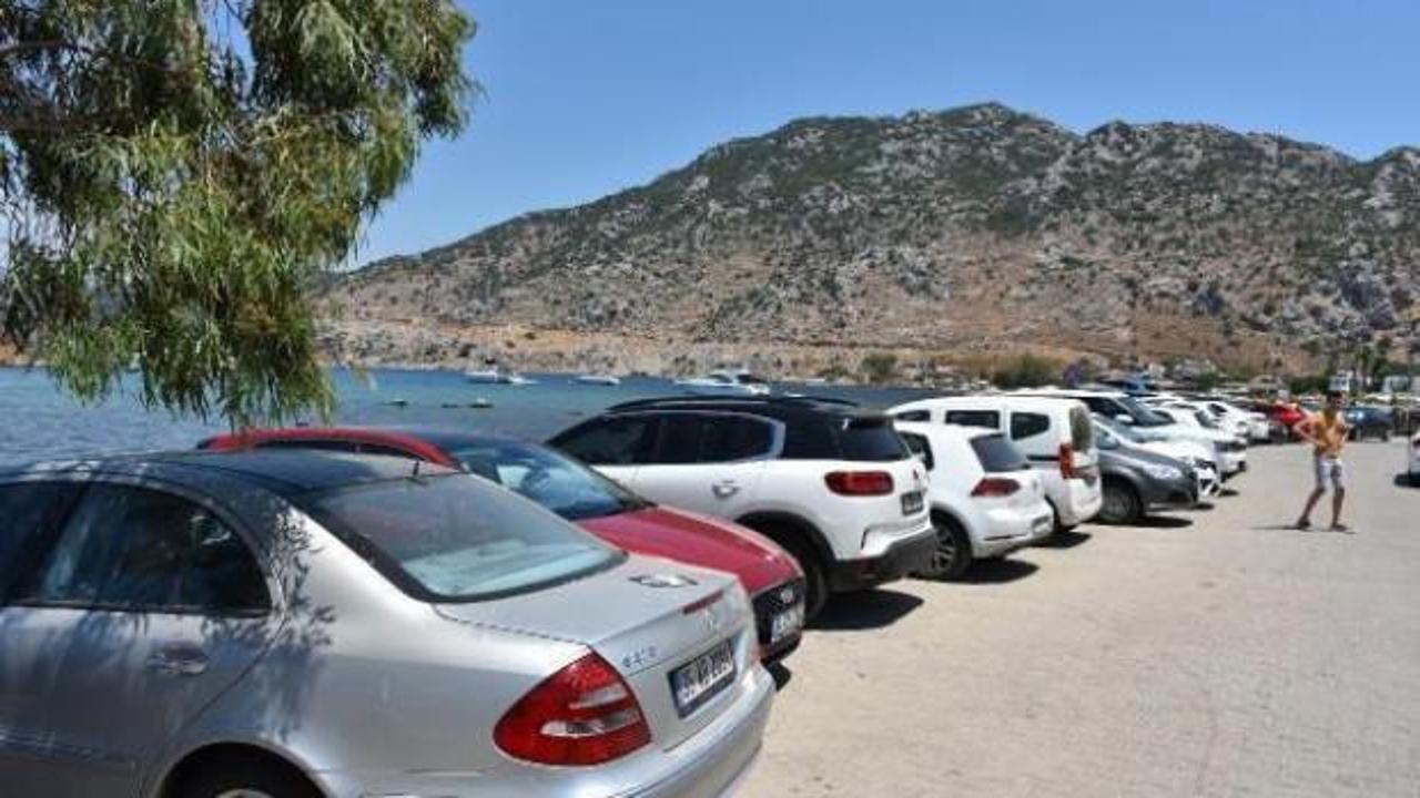 Nüfusu 10 kat arttı! Fiyatlar 2500 TL'ye çıktı