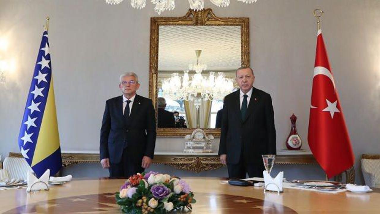 Erdoğan, Bosna-Hersek Devlet Başkanlığı Konseyi Boşnak Üyesi Caferoviç ile görüştü