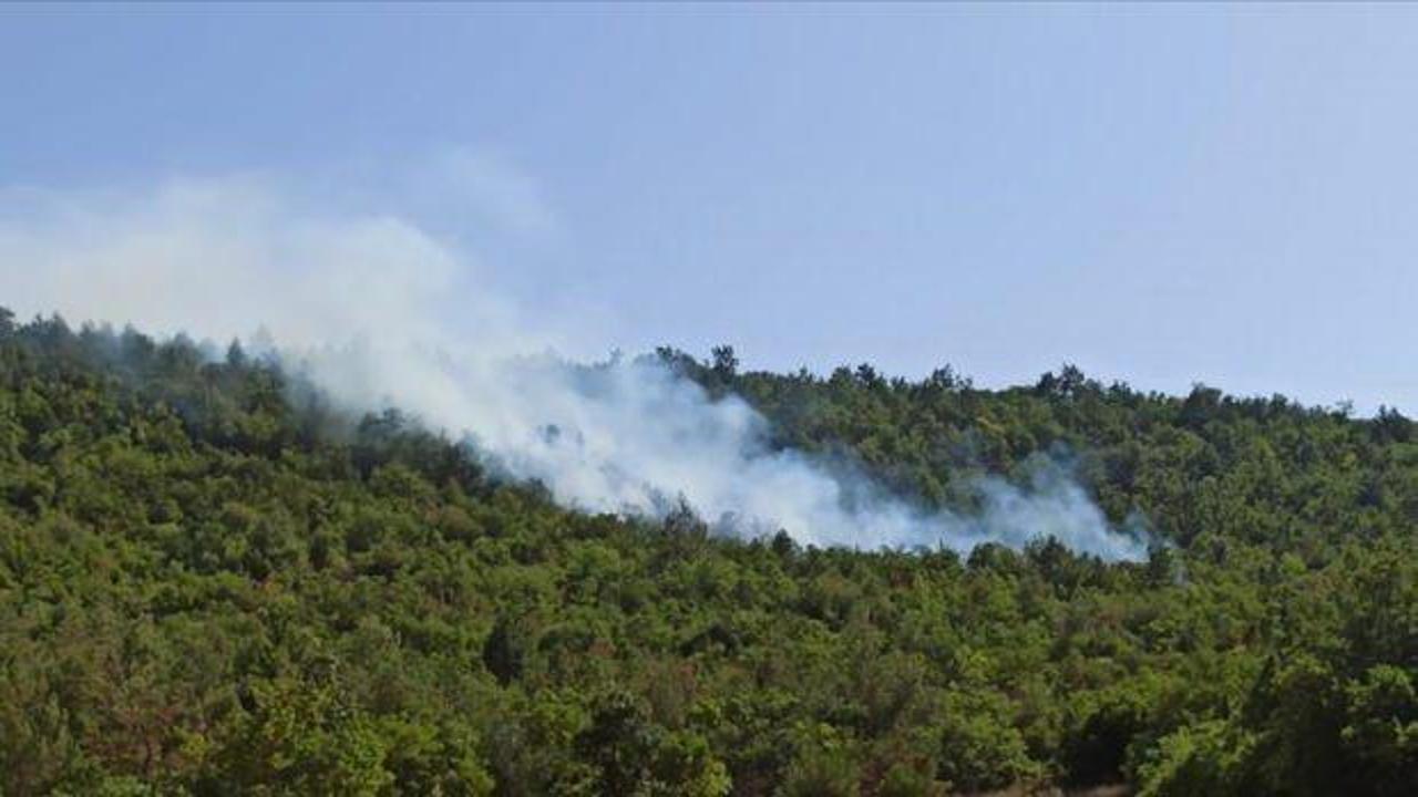 Balıkesir'de ormanlık alanda çıkan örtü yangını kontrol altına alındı