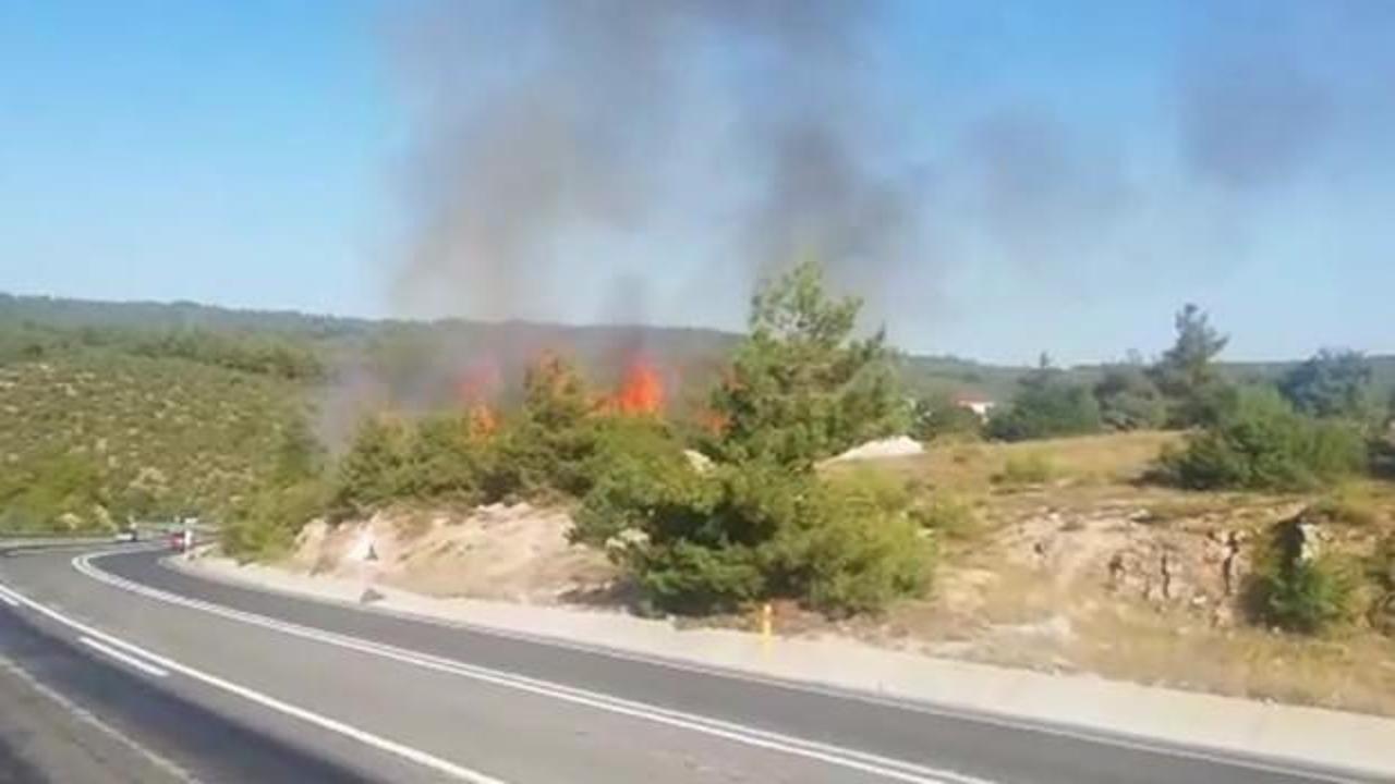 Bilecik'te ormanlık alanda yangın: 1 kişi gözaltına alındı