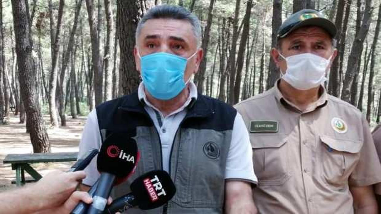 İstanbul Orman Bölge Müdürü'nden yasaklarla ilgili açıklama