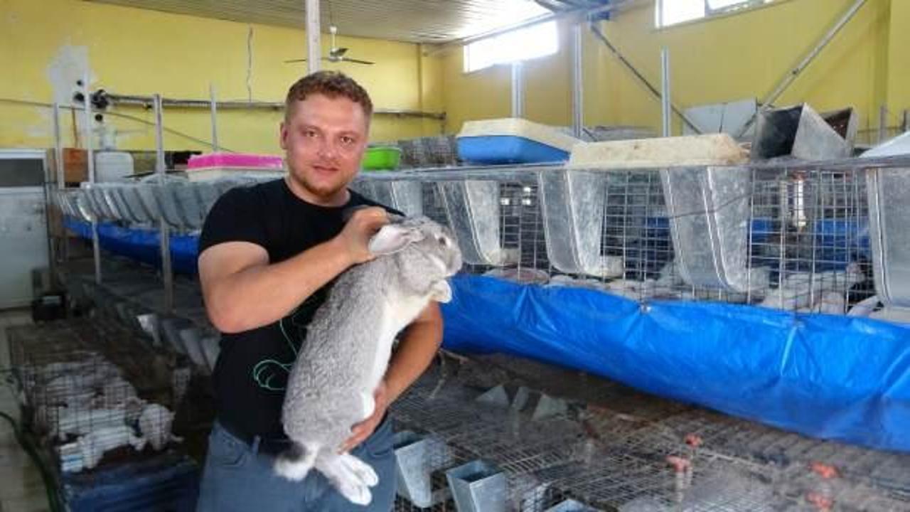 Adana'da öğretmenliği bıraktı, tavşan çiftliği kurdu!