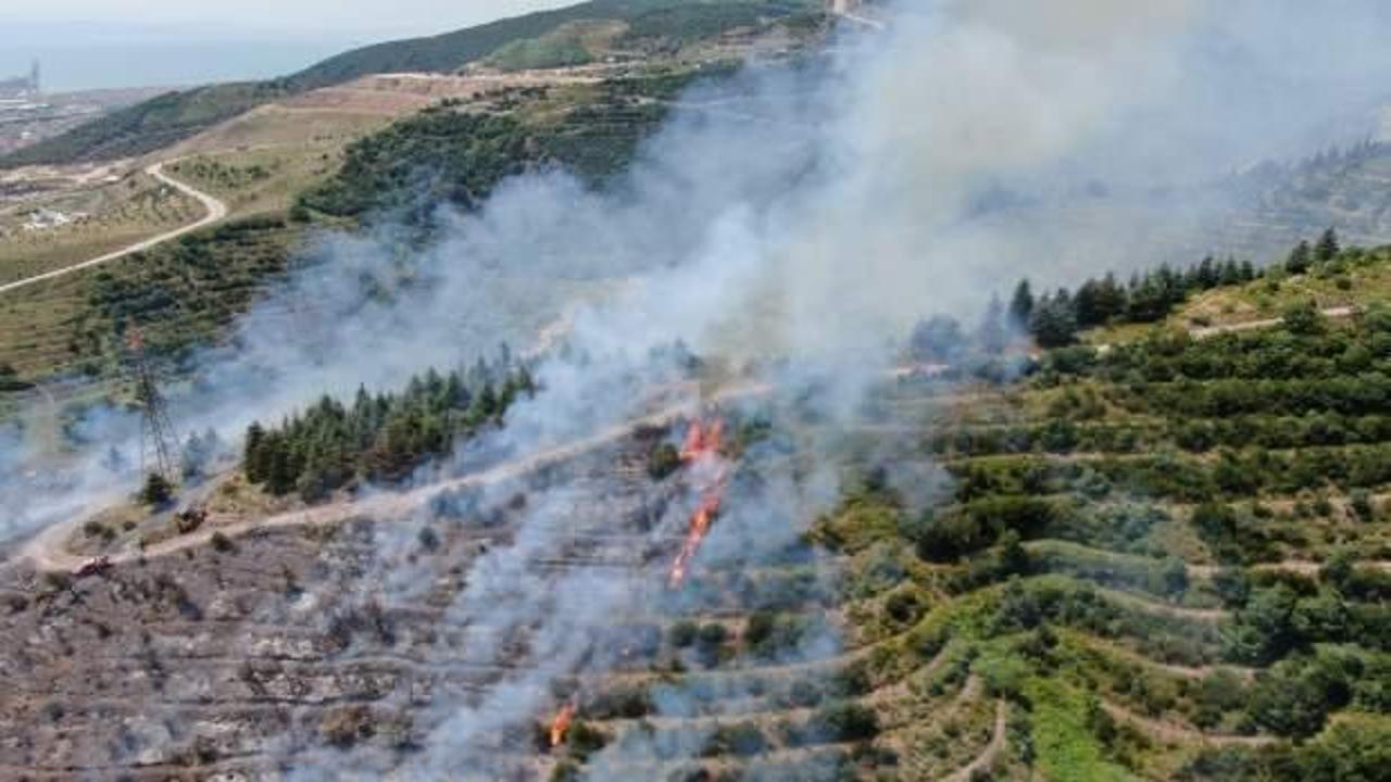 Kocaeli'deki orman yangının sebebi belli oldu!