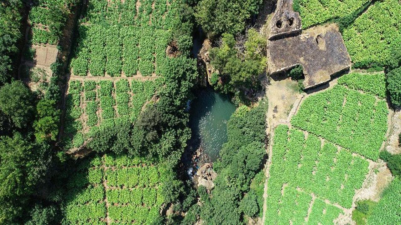 Mardin'in gizli bahçesi: Yeşil Gurs Vadisi