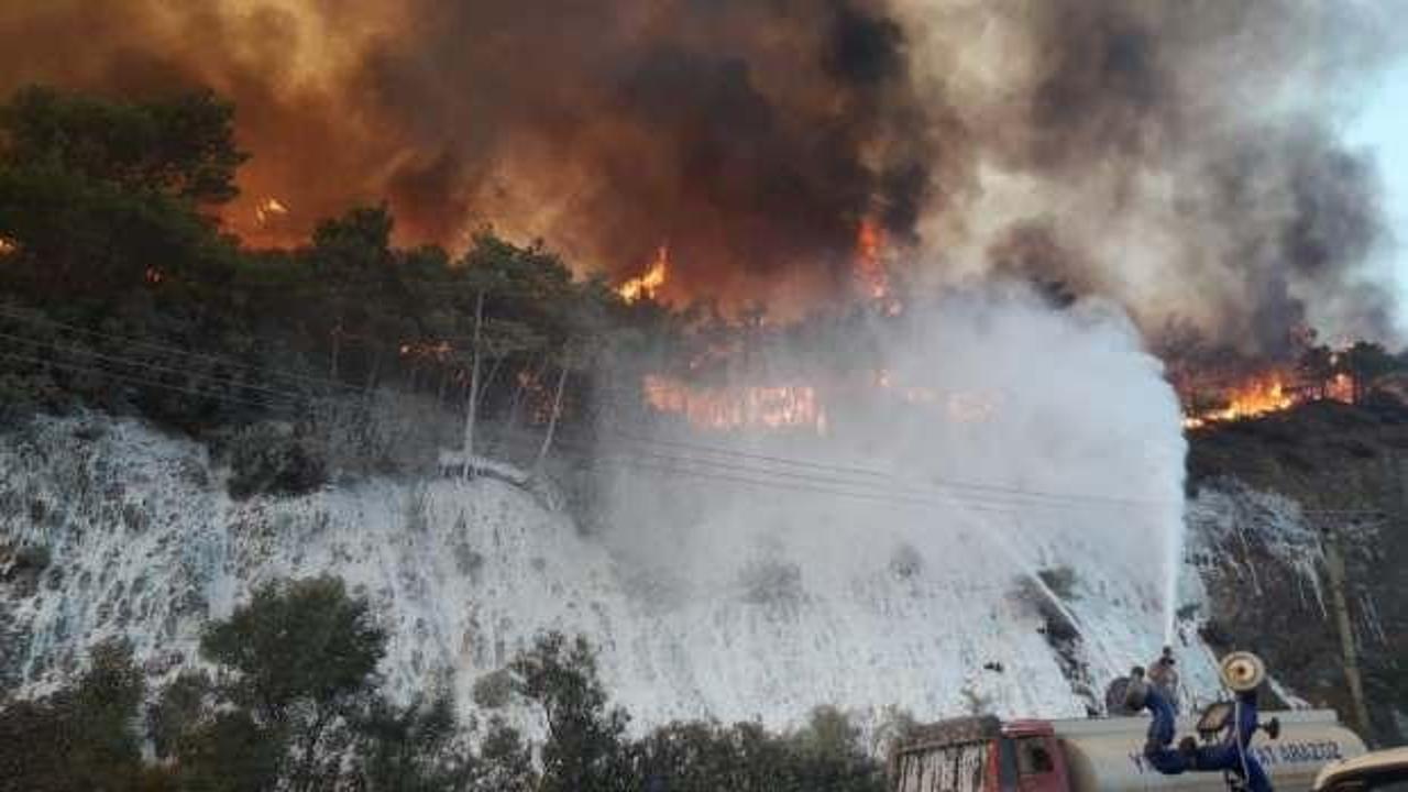 Marmaris'teki orman yangınıyla ilgili dikkat çeken iddia! İfade için pedagoglar bekleniyor