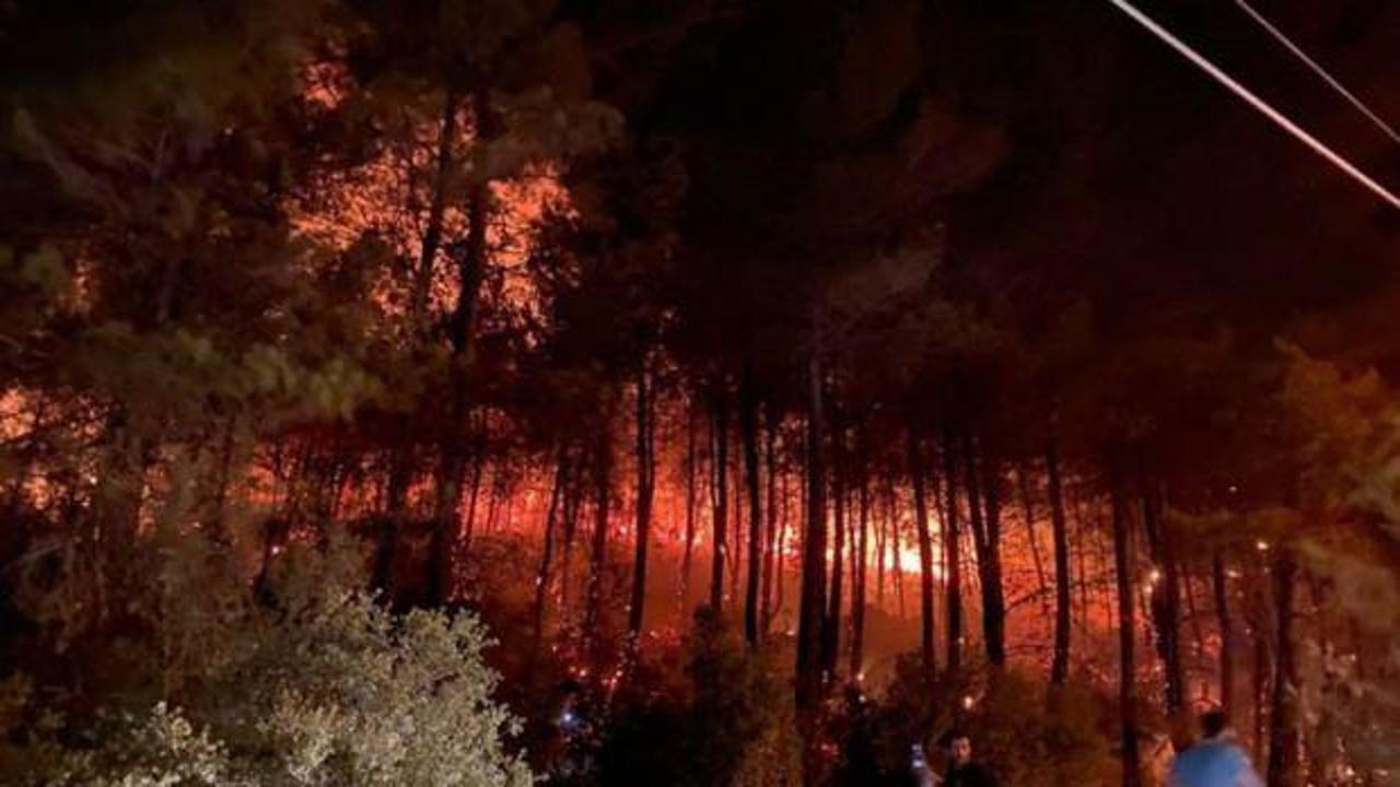 Muğla'nın Fethiye ilçesindeki yangın kontrol altına alındı