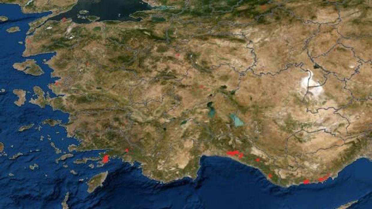 NASA görüntüleriyle orman yangınlarını takip edin