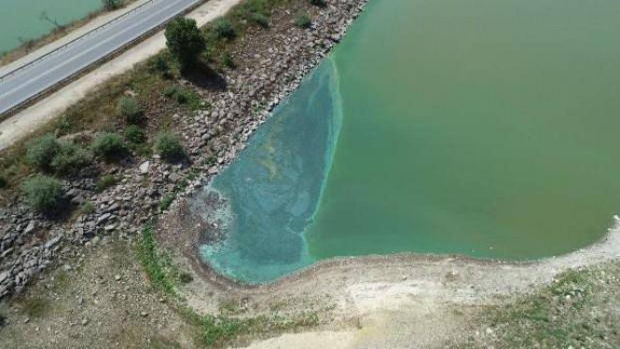 Son dakika haberi: Yeşile dönen Sazlıdere Barajı, su içilemeyecek duruma geldi