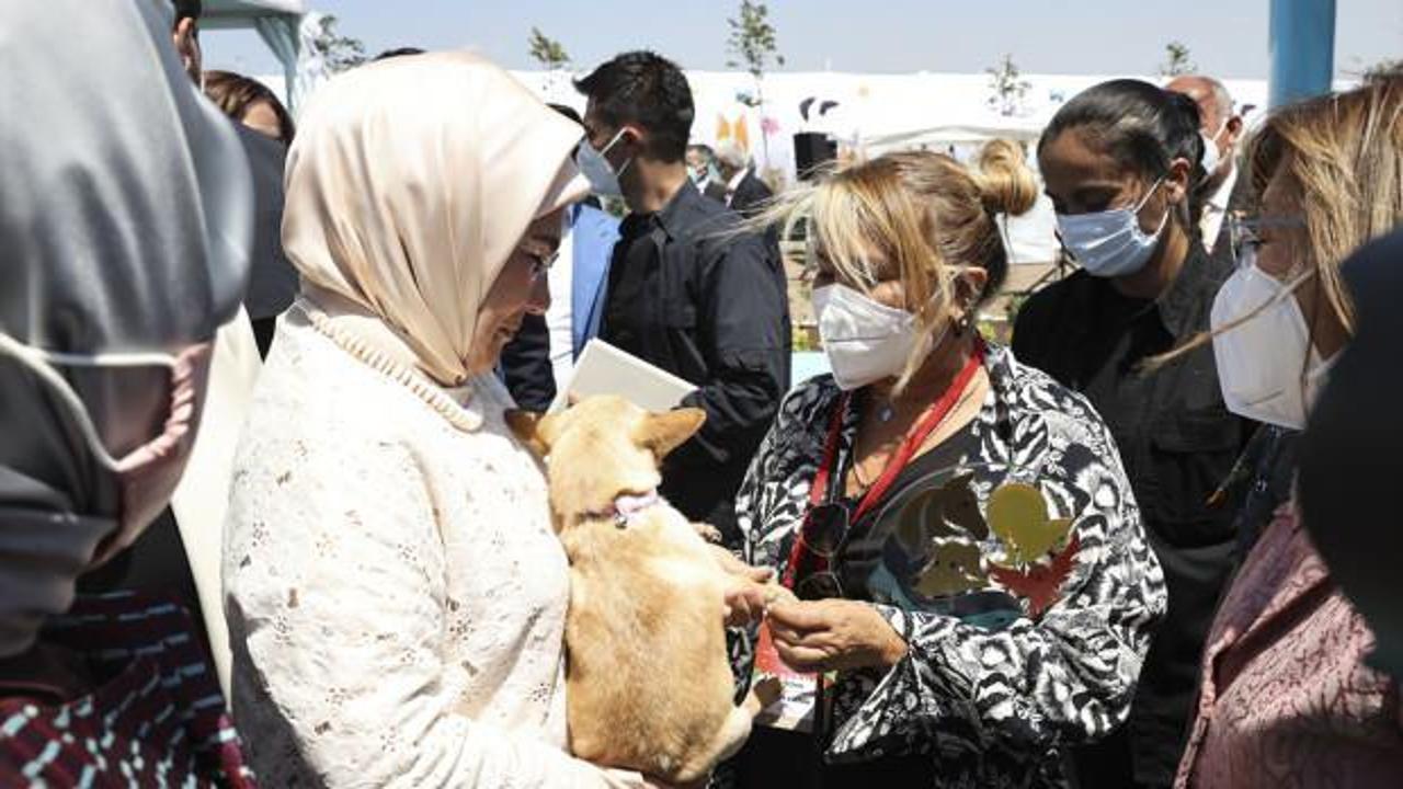 Yonca Evcimik, Emine Erdoğan aracılığıyla 'can dostu'nu buldu