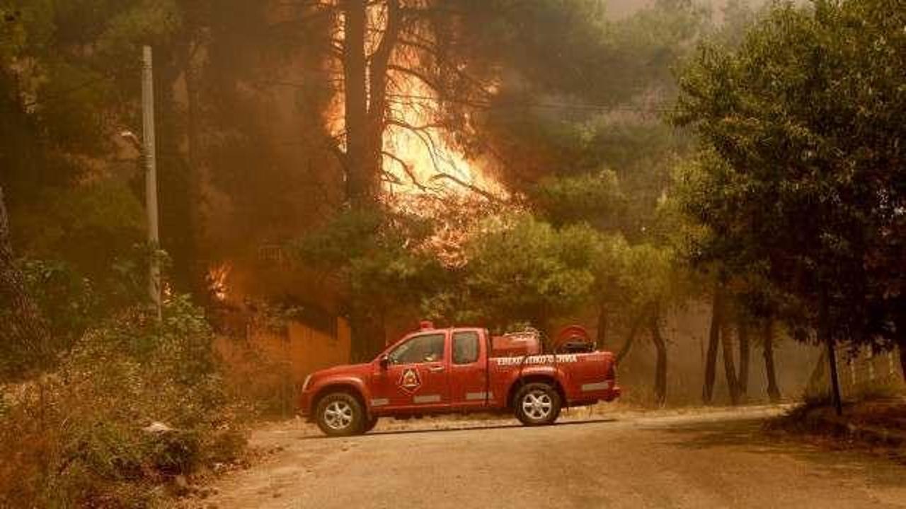 Yunanistan'da büyük orman yangını!