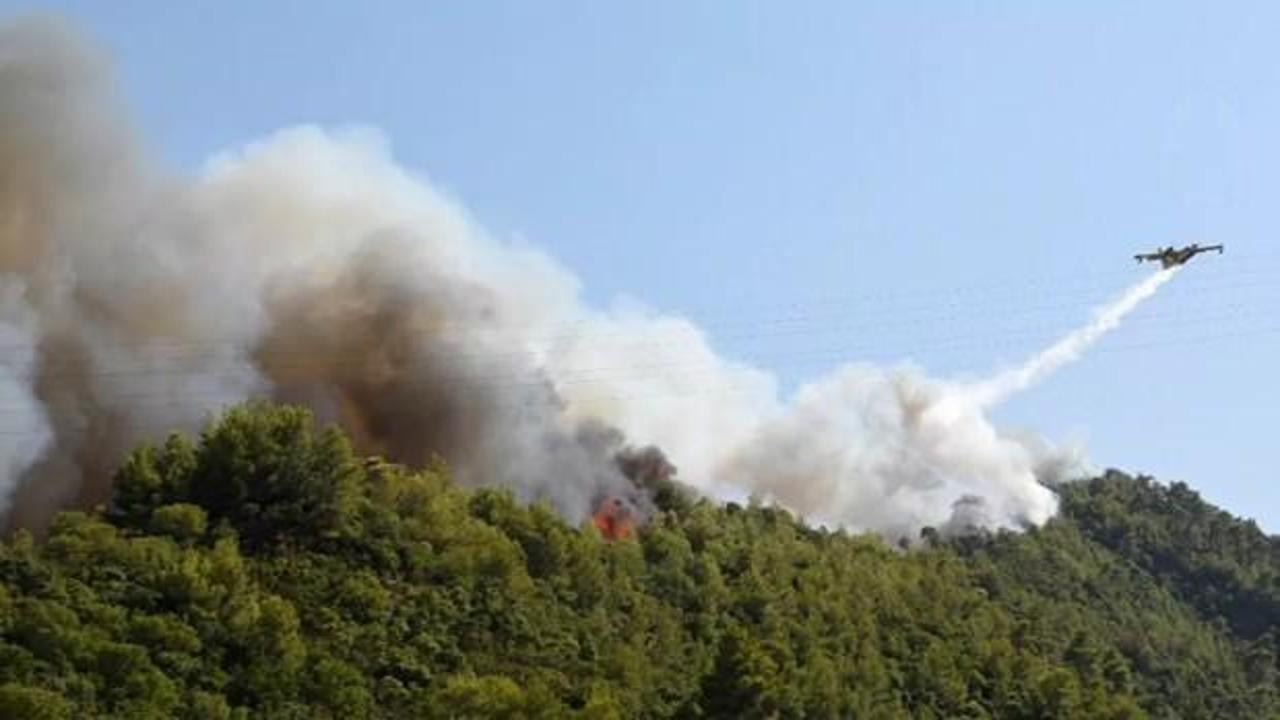 Yunanistan'daki orman yangınında 5 kişi hastanelik oldu