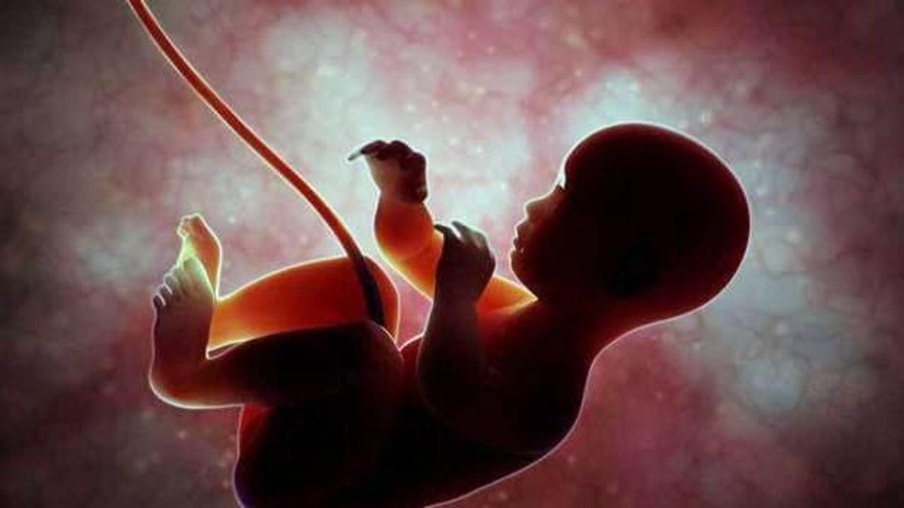 ABD'de skandal deney: Kürtaj ile alınan canlı bebekleri ölüme terk ettiler