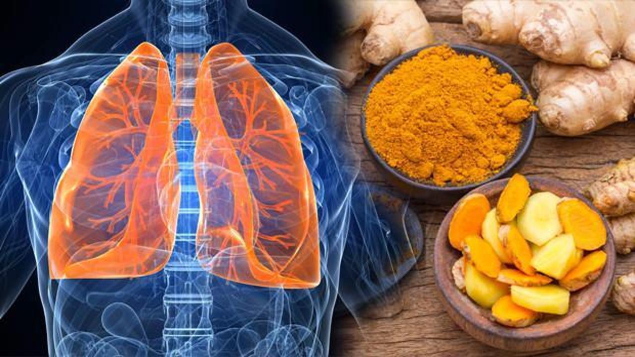 Akciğer sağlığını koruyan besinler nelerdir? Akciğer hastalıklarına iyi gelen 10 sağlıklı besin!