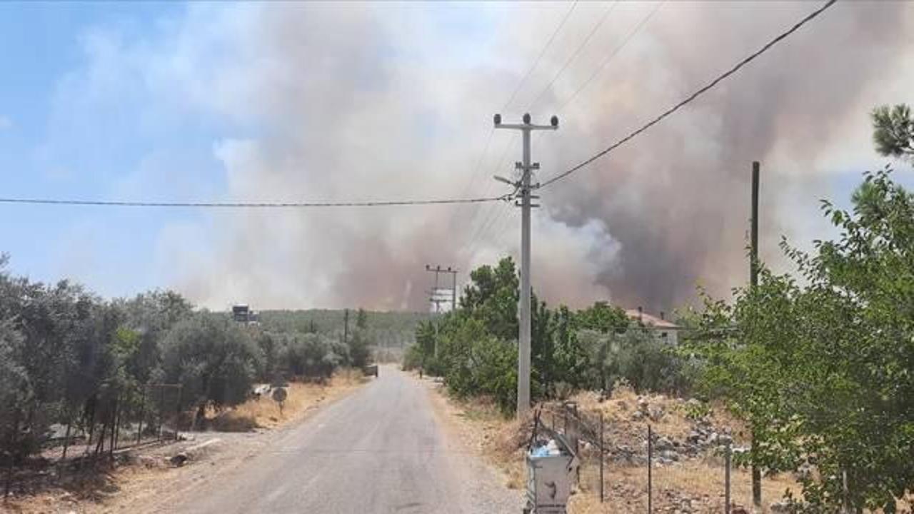 Antalya'nın Demre ilçesindeki orman yangını söndürüldü