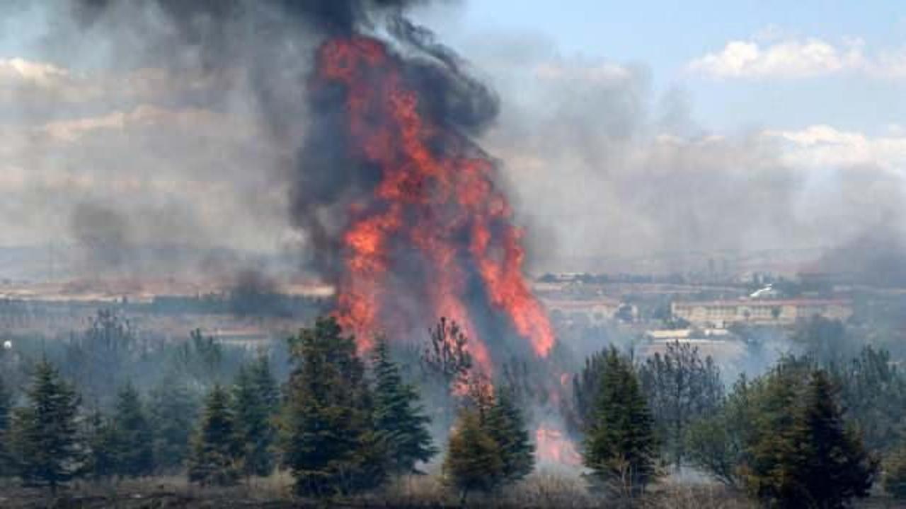 Atatürk Orman Çiftliği'ndeki yangın soruşturmasında jet iddianame
