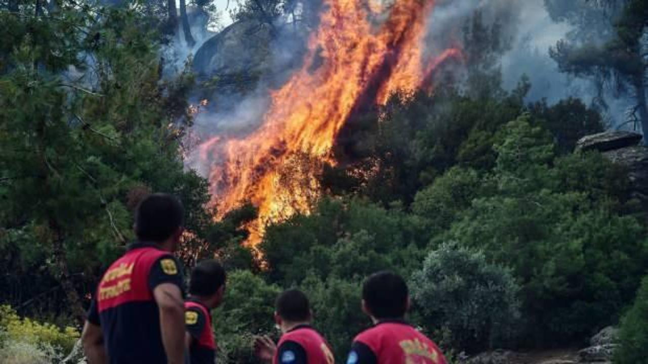 Azerbaycanlı gazeteci, balayını bırakıp T&uuml;rkiye'ye koştu!