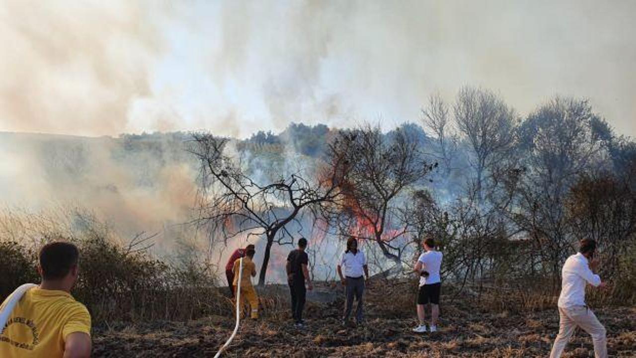 Balıkesir&rsquo;de elektrik teline &ccedil;arptı yangına sebep oldu