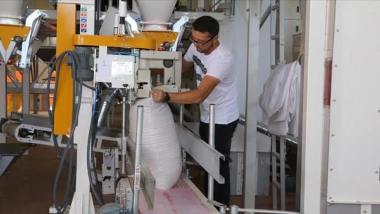 Devlet desteği ile 4 milyonluk tesis kurdu