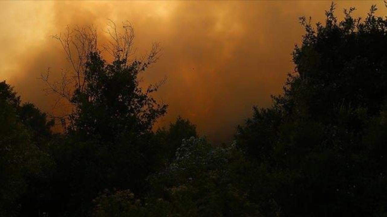 Esed rejimi, saldırılarıyla Türkmen Dağı'nda orman yangını çıkardı