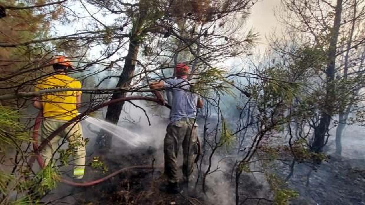 Ezine'de orman yangını çıktı!