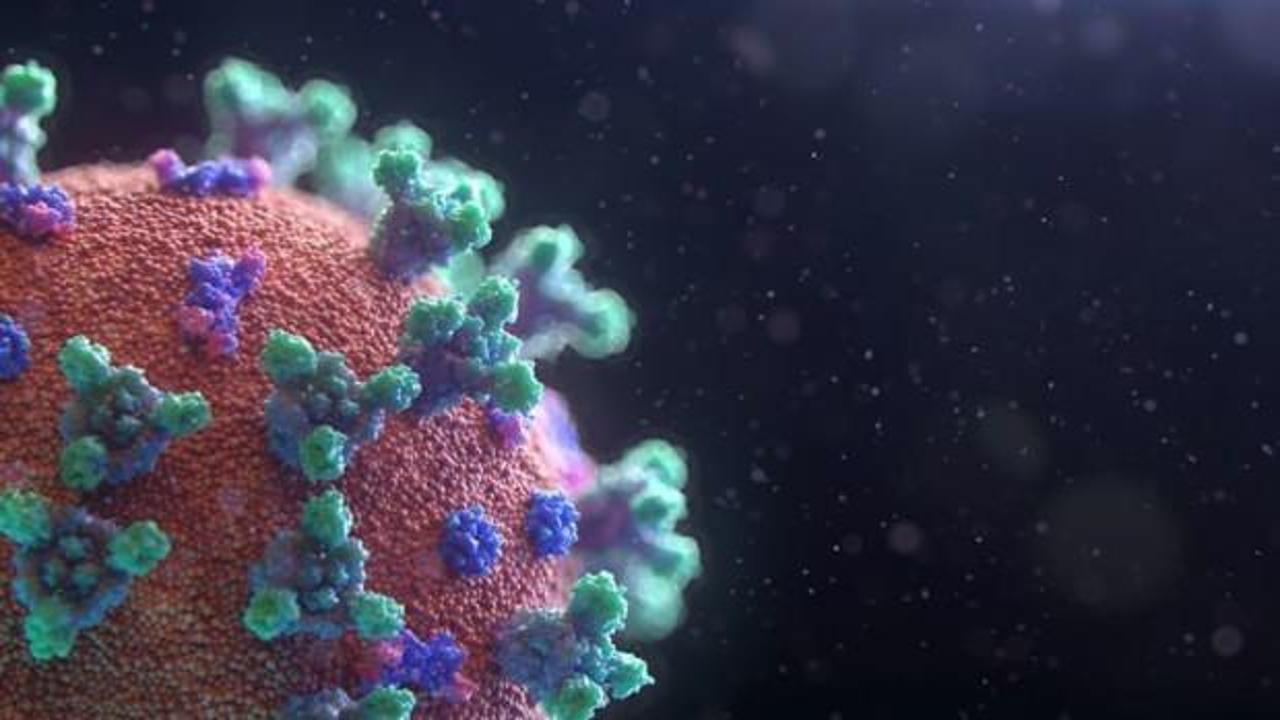 Koronavirüsü tetikleyen klima tehlikesi: Solunum sistemini çökertiyor!