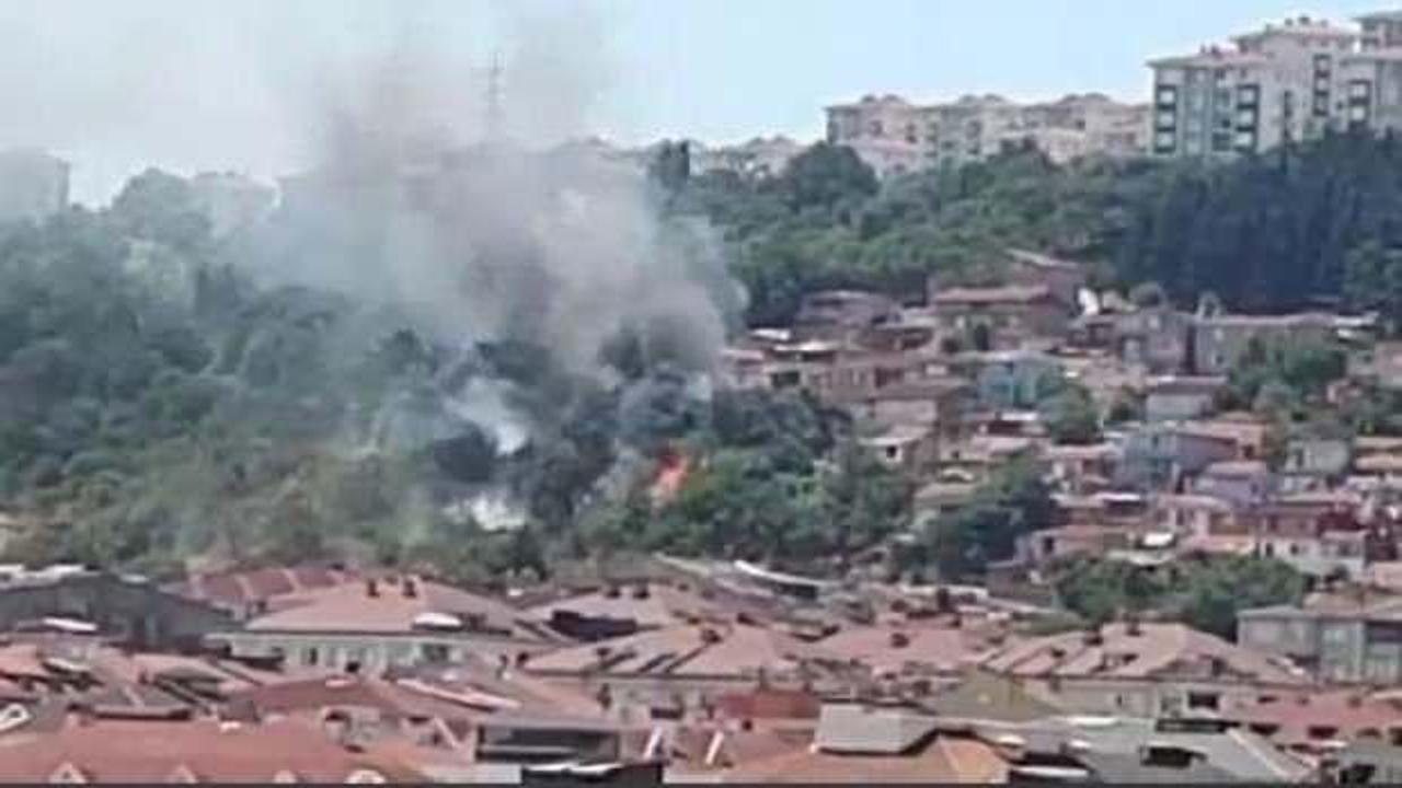 Son dakika haberi: İstanbul'da yerleşim yerine yakın bölgede yangın!