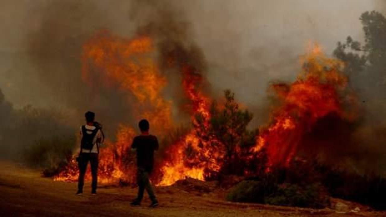 Son dakika haberi: Orman yangını olan yerde yüzey sıcaklığı 95 dereceye çıktı!