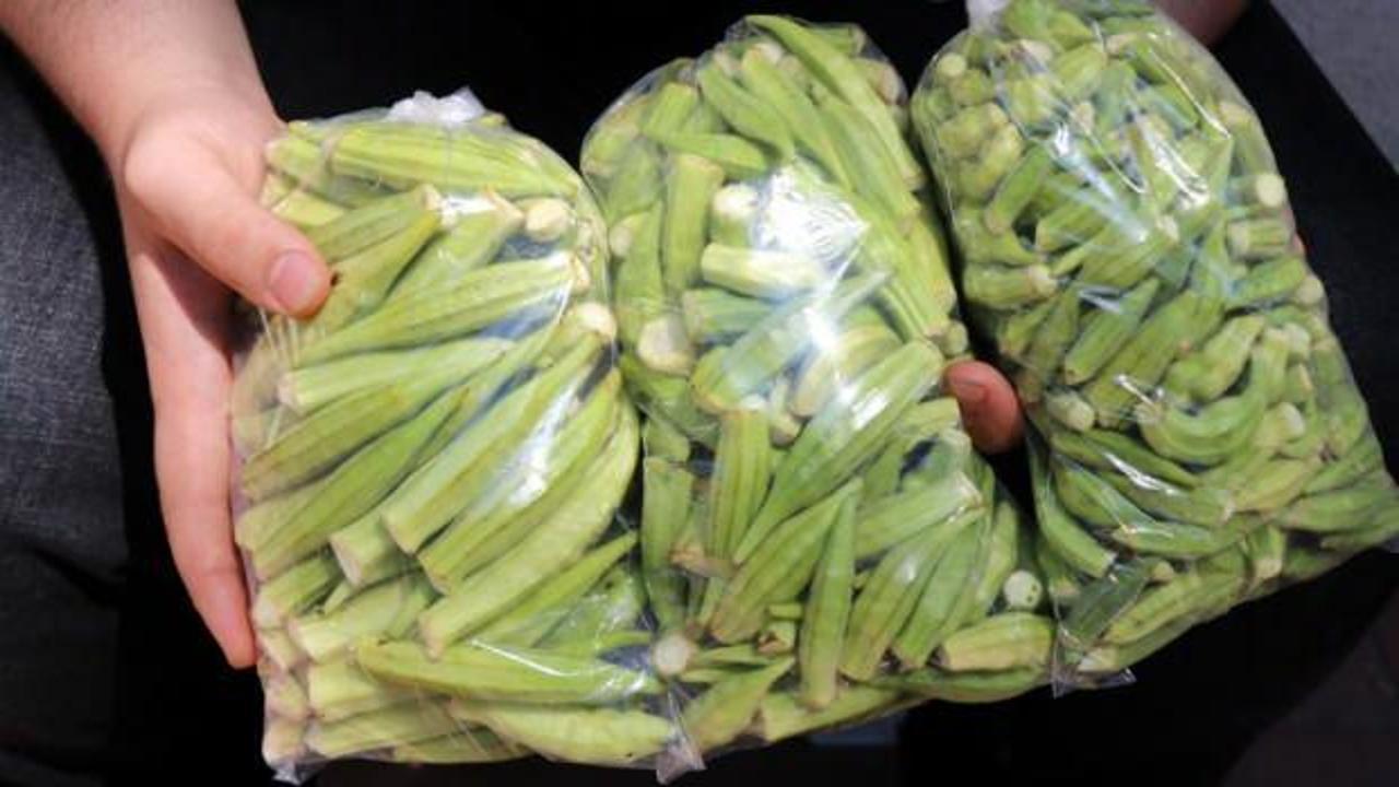 Yeşil altının kilosu 30 liradan satılıyor