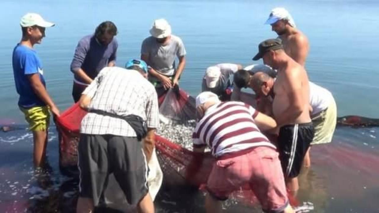 Bursa İznik Gölü'nde gümüş balığı popülasyonu balıkçıları tedirgin ediyor