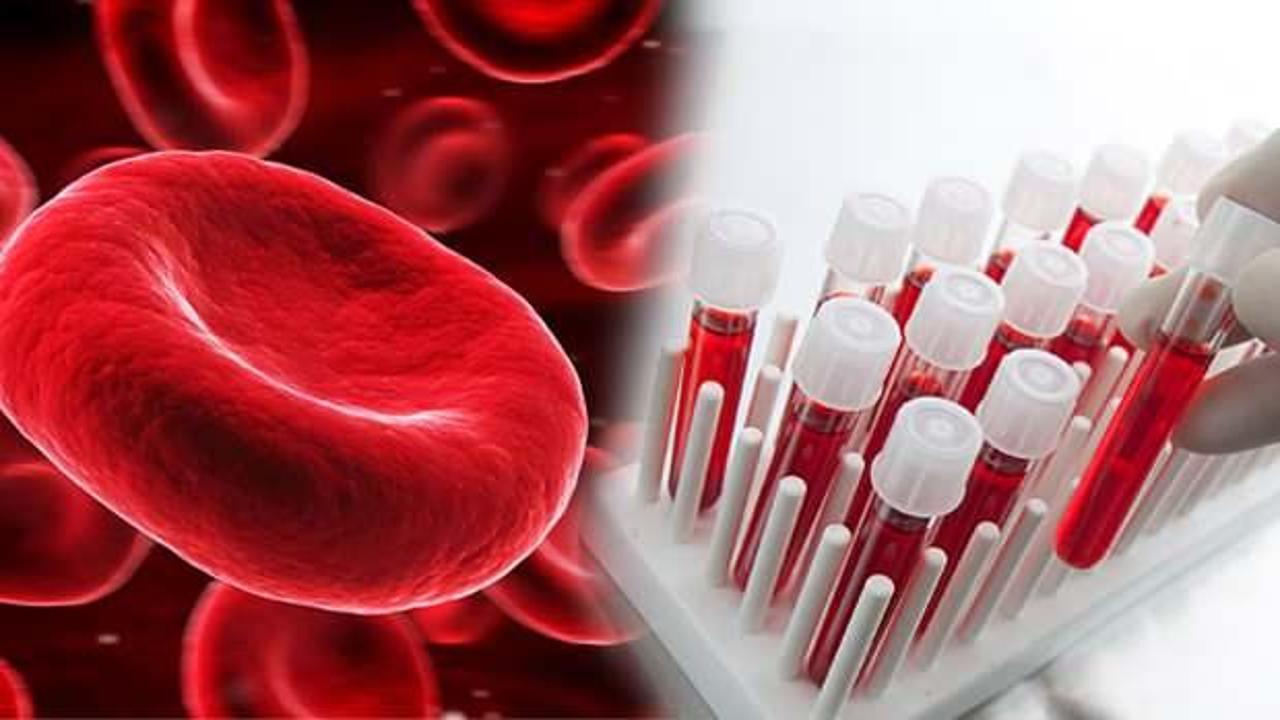 Hangi kan grupları birbirine kan verebilir? 
