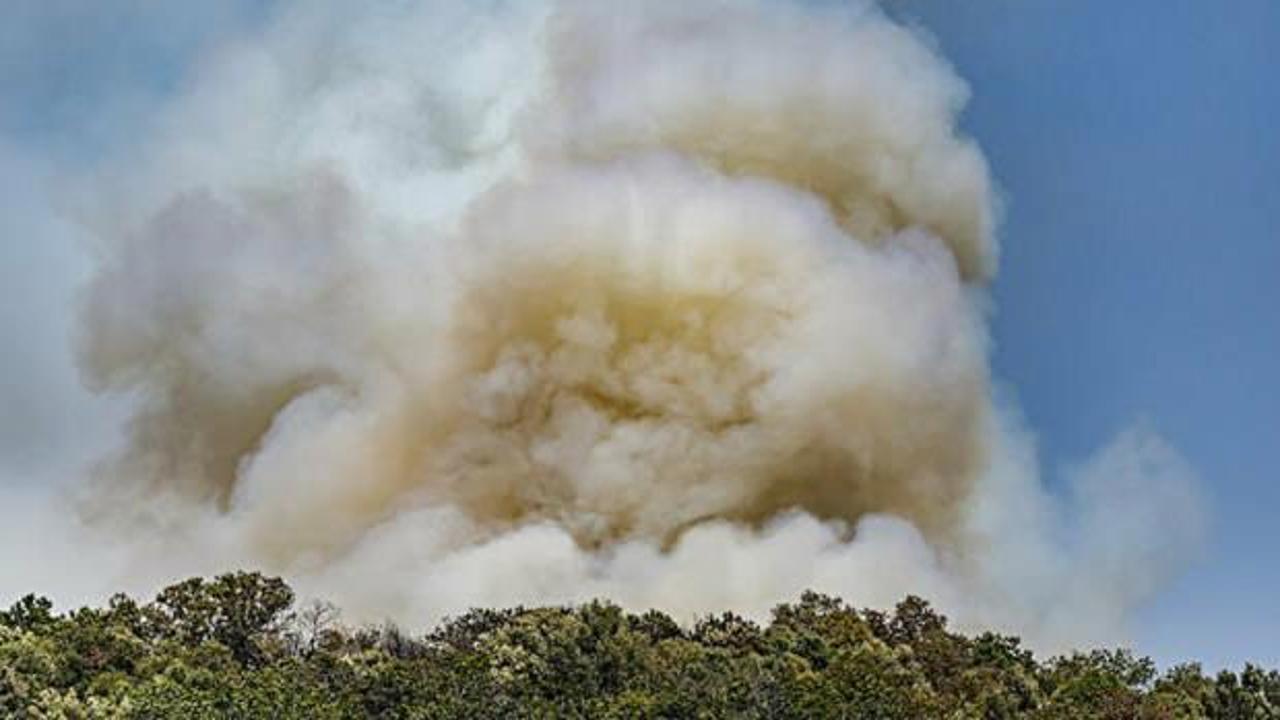 İtalya'da 500 ayrı noktada orman yangını