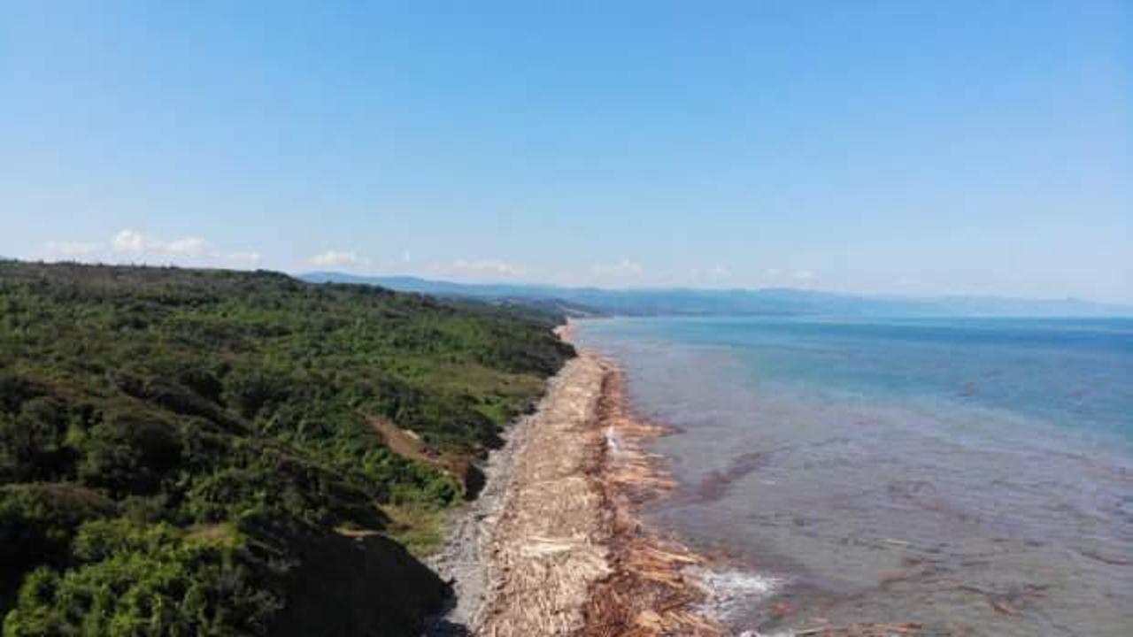Karadeniz'de tomruk adaları: Arasından cesetler çıkıyor