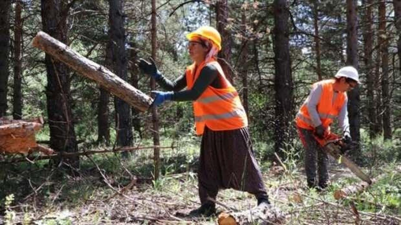 Mevsimlik orman işçileri kadro müjdesi bekliyor