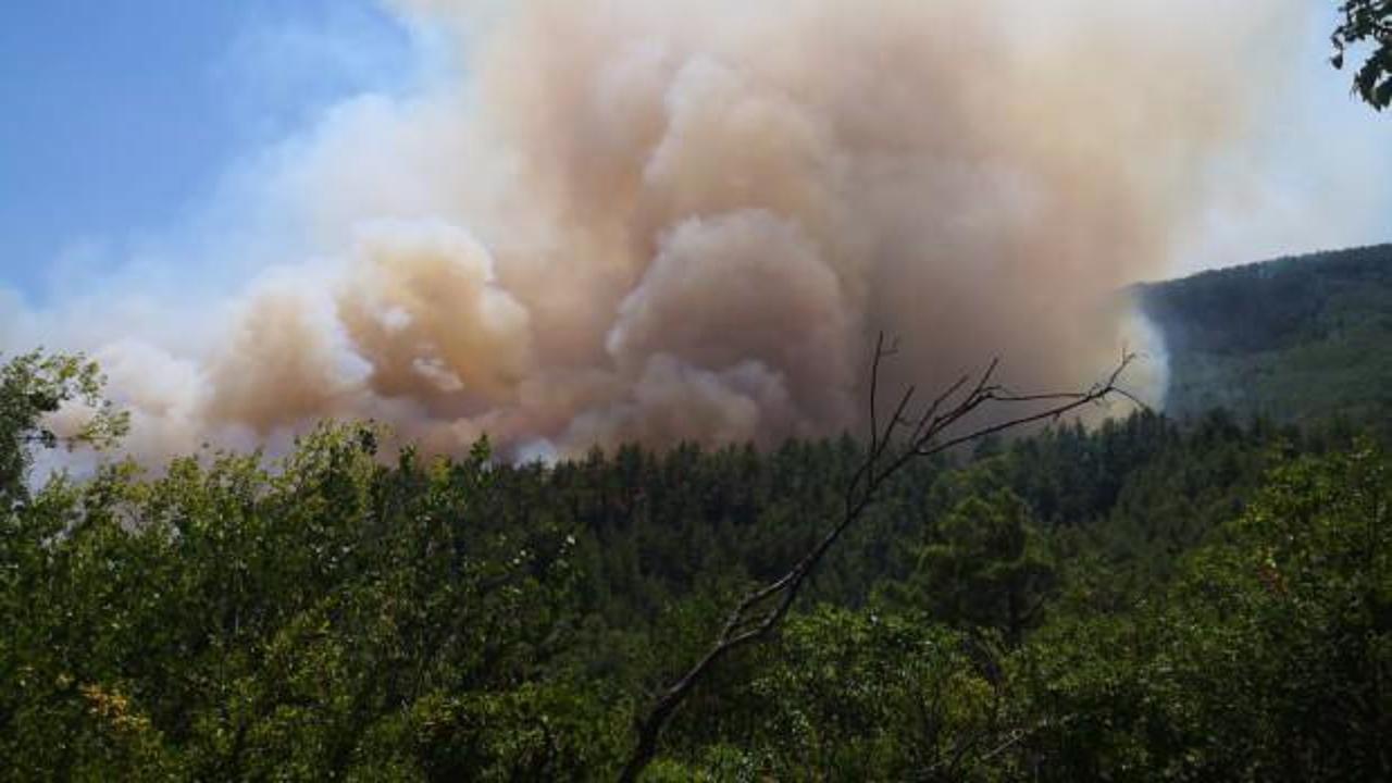 Son Dakika: Burdur Bucak'ta orman yangını
