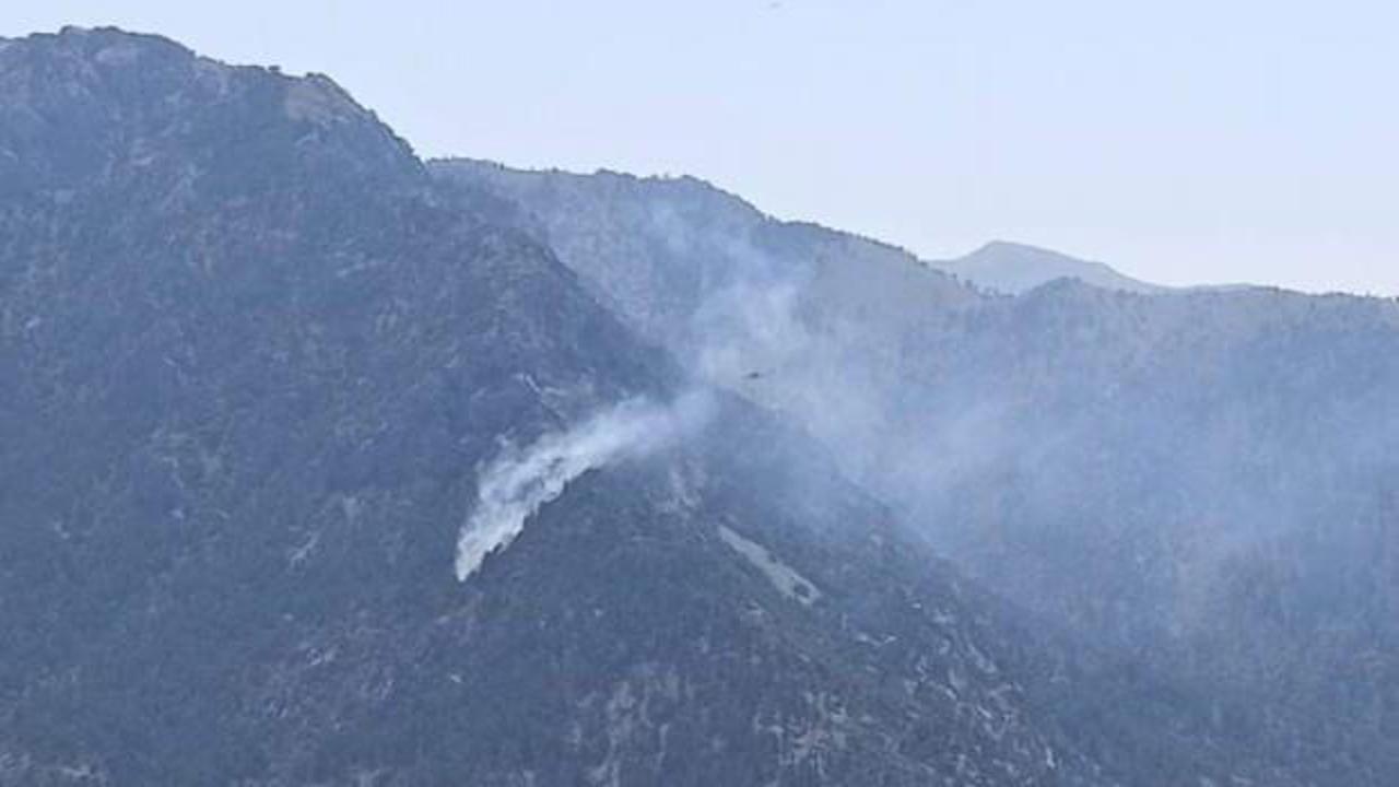 Son dakika: Kahramanmaraş'ta orman yangını!