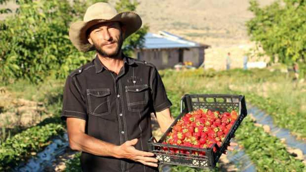 Her şeyi bırakıp köyüne döndü, yaptığı organik tarımla siparişlere yetişemiyor