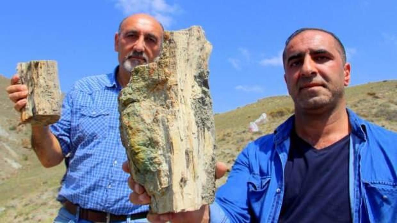Erzurum’da 160 milyon yıllık keşif