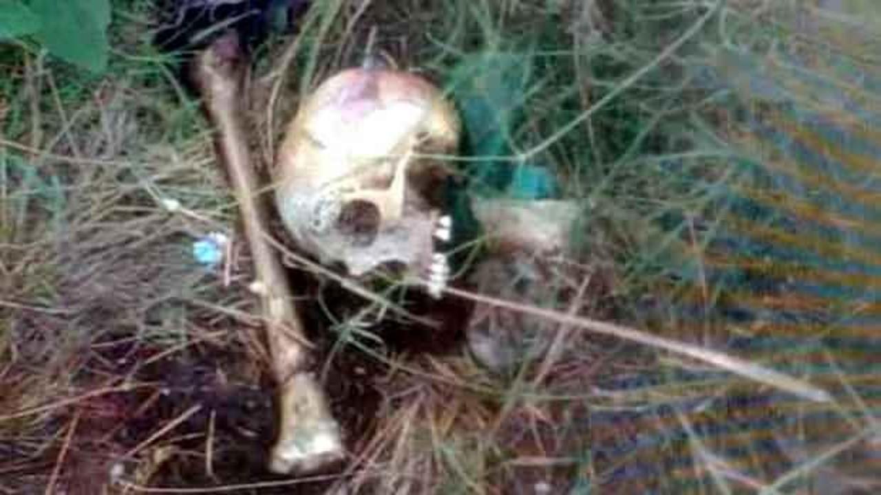 Tekirdağ&rsquo;da piknik alanında kafatası ve kemik bulundu