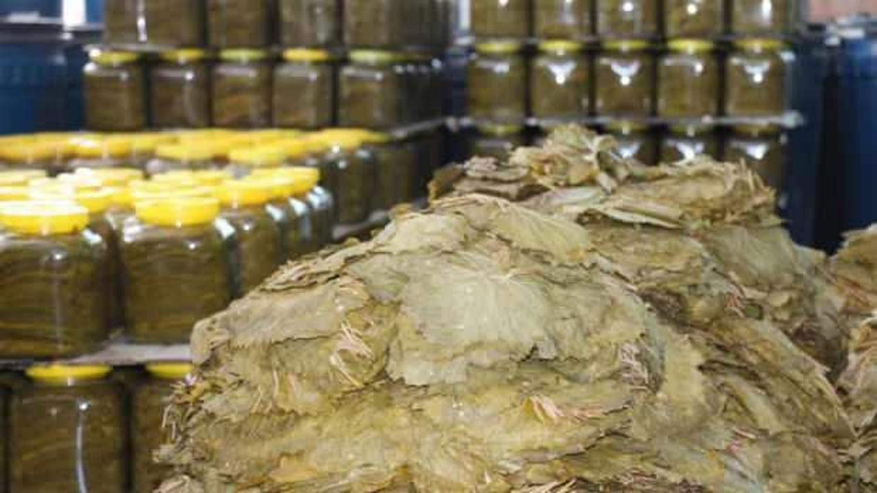 Yapraktan ilçeye 90 milyon TL'lik katkı