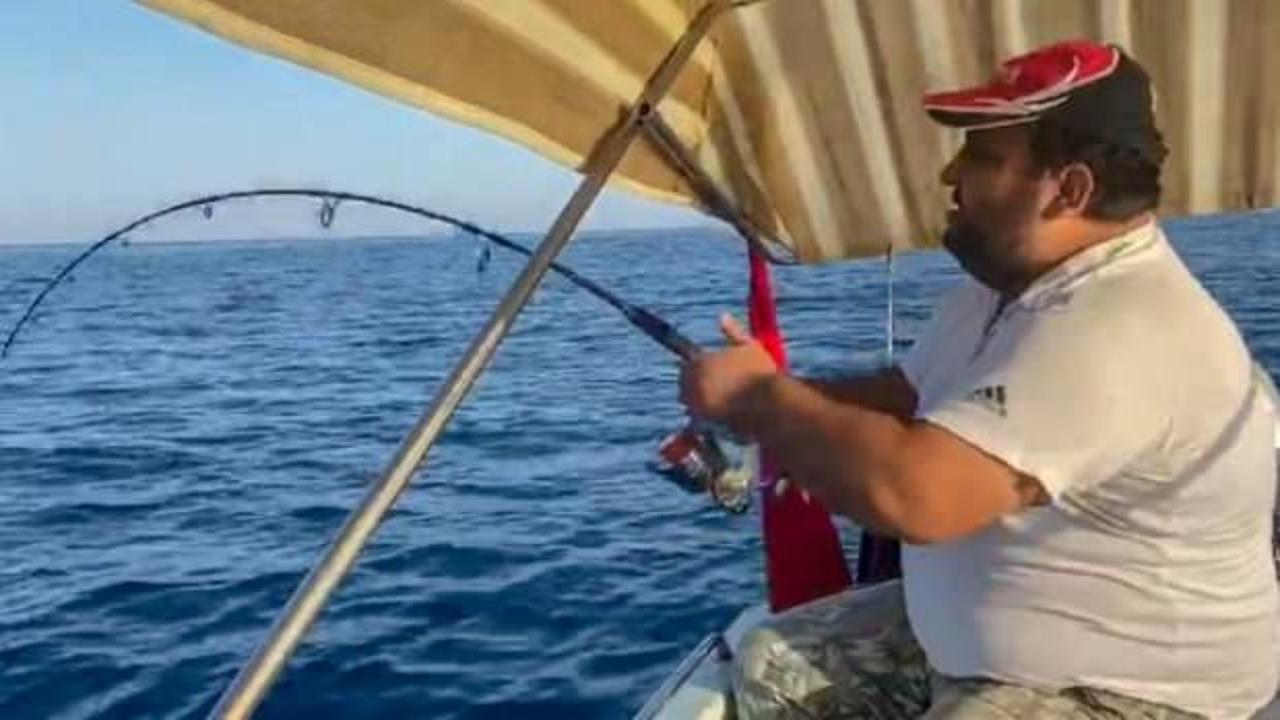 Amatör balıkçının oltasına 30 kiloluk kuzu balığı takıldı