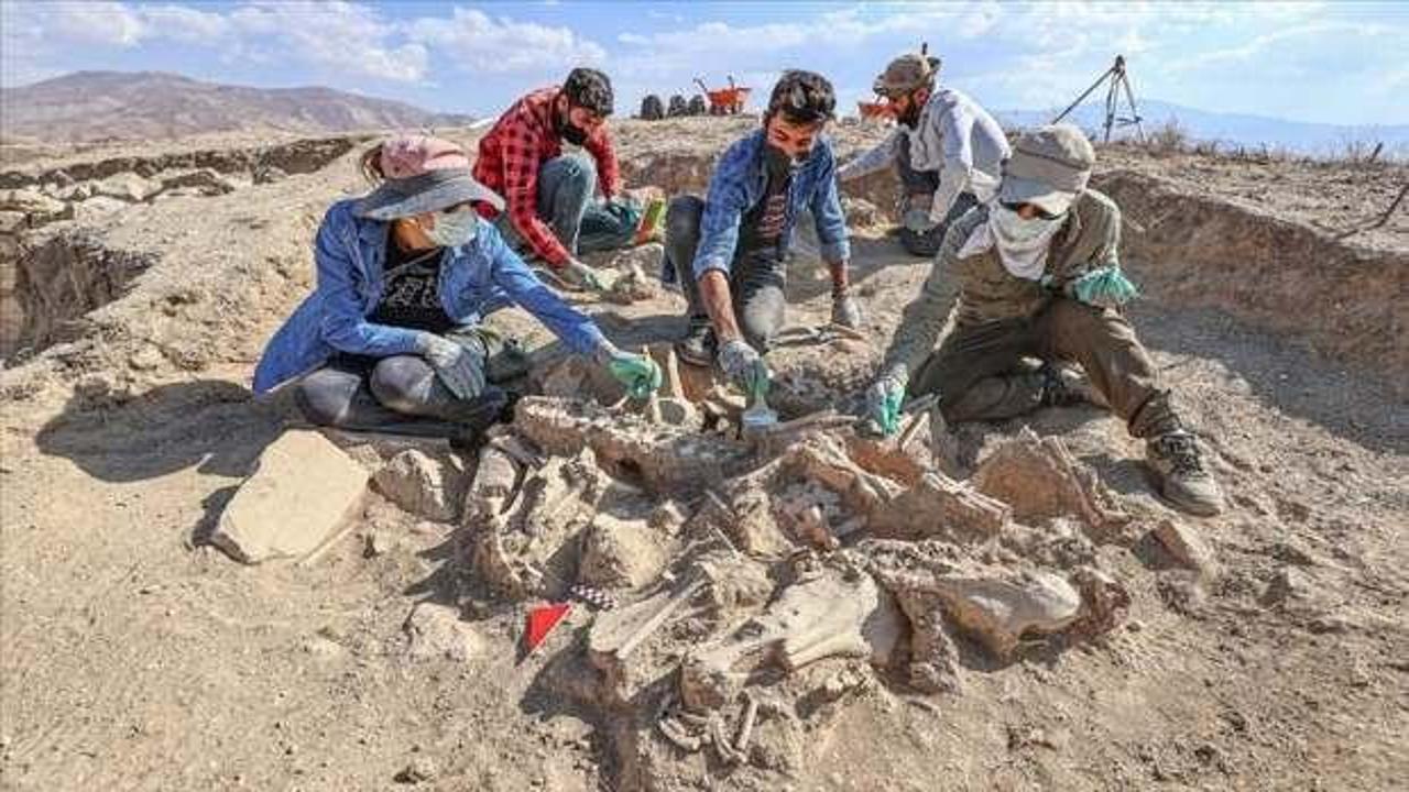 Arkeologları heyecanlandıran görüntü: Köpeği, 4 atı, sığırı ve koyunuyla gömülü bulundu