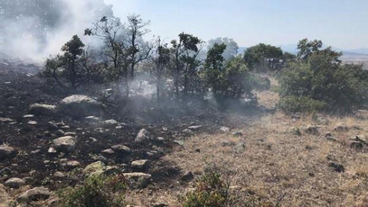 Konya'da makilik yangını