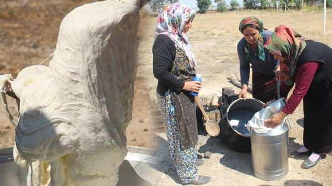 Konyalı kadınlar 8 saatte aldıkları eğitimle 8 çeşit peynir ürettiler