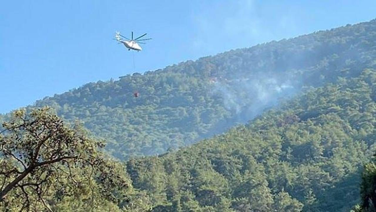 Milas'ta orman yangını büyümeden kontrol altına alındı