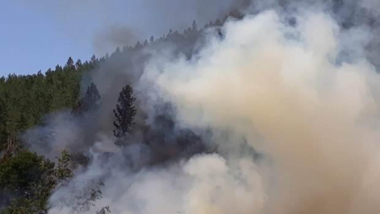 Valilik a&ccedil;ıkladı! Ormanlık alanlarda drone u&ccedil;urmak yasaklandı