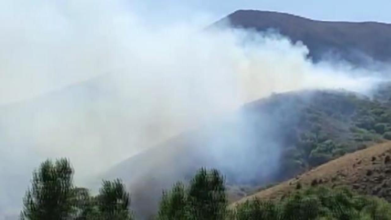 Bingöl ve Bitlis'te orman yangını